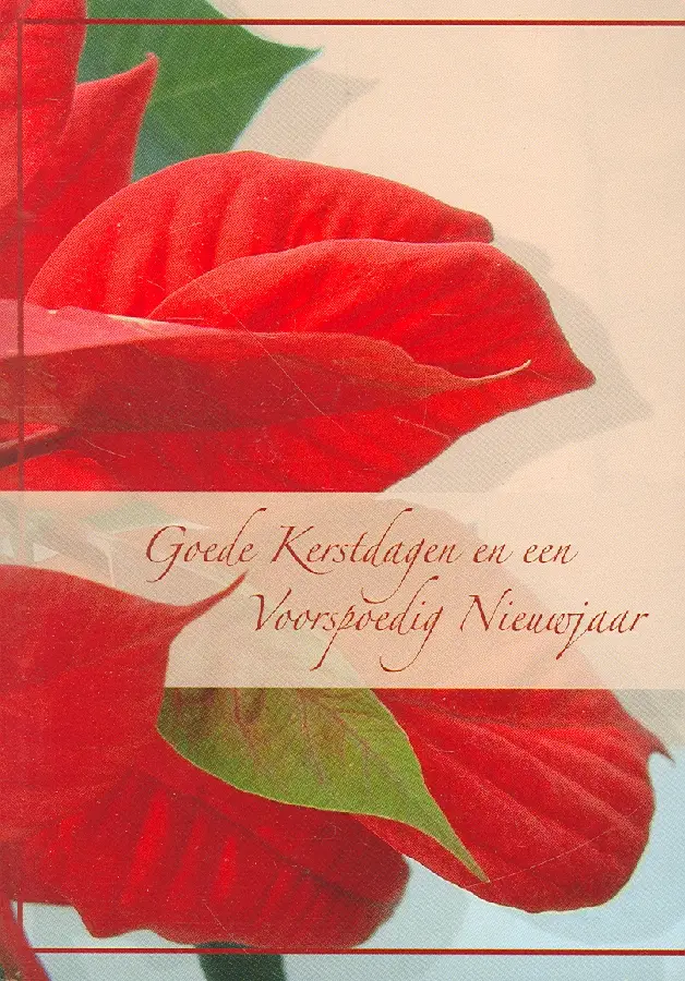 Wk kerst pk zt kerstster