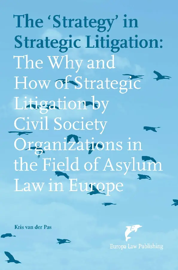 The 'Strategy' in Strategic Litigation