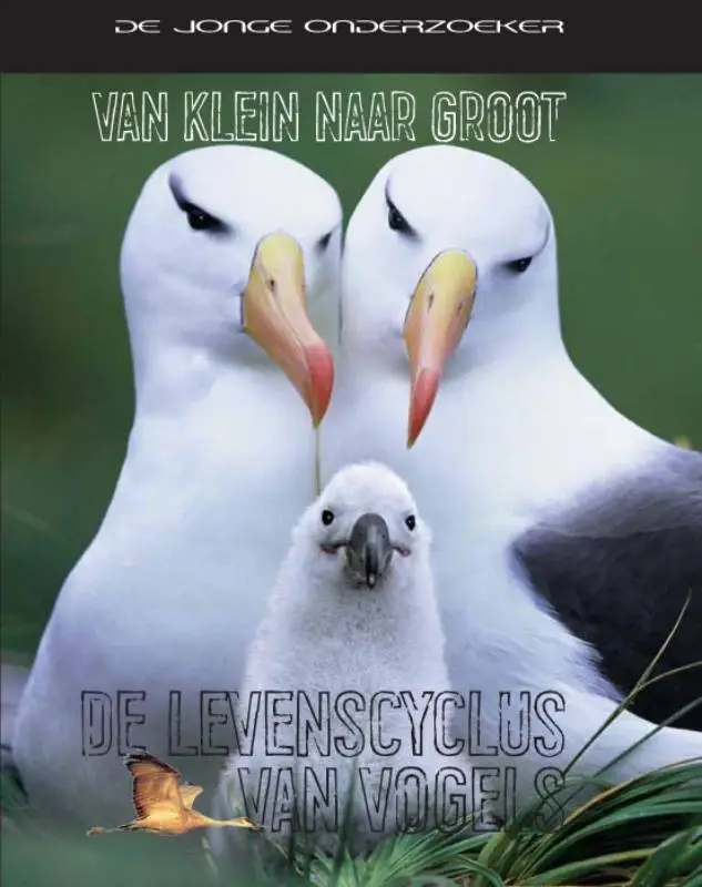 De jonge onderzoeker (7-9