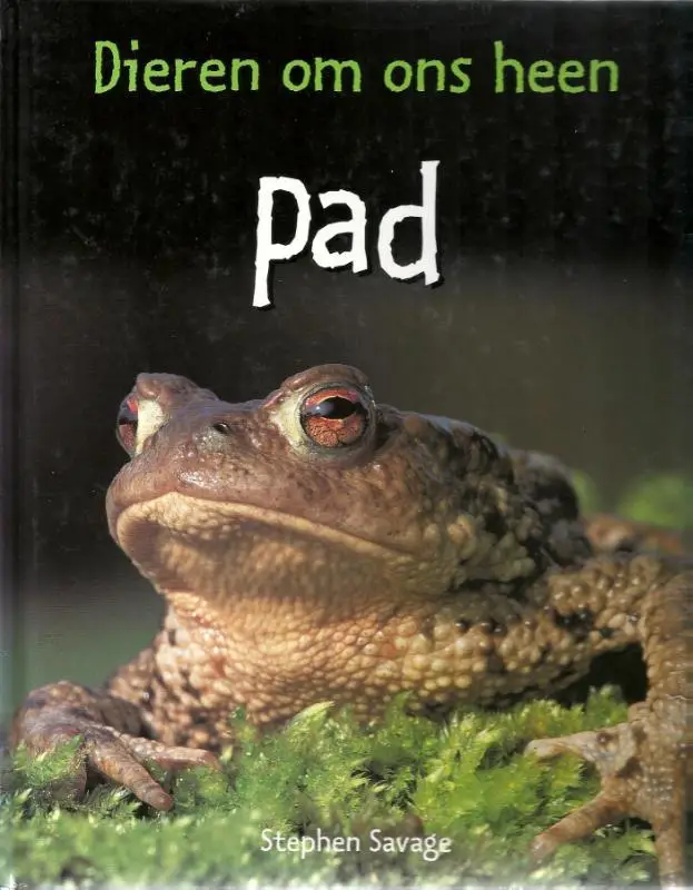 Pad