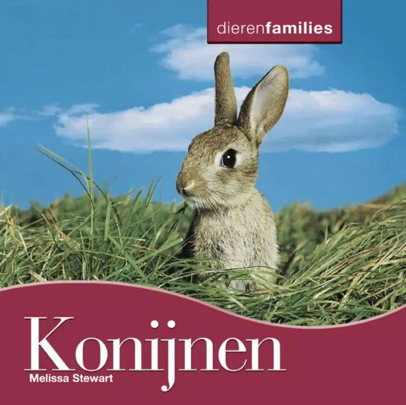 Dierenfamilies (10-16 jaa