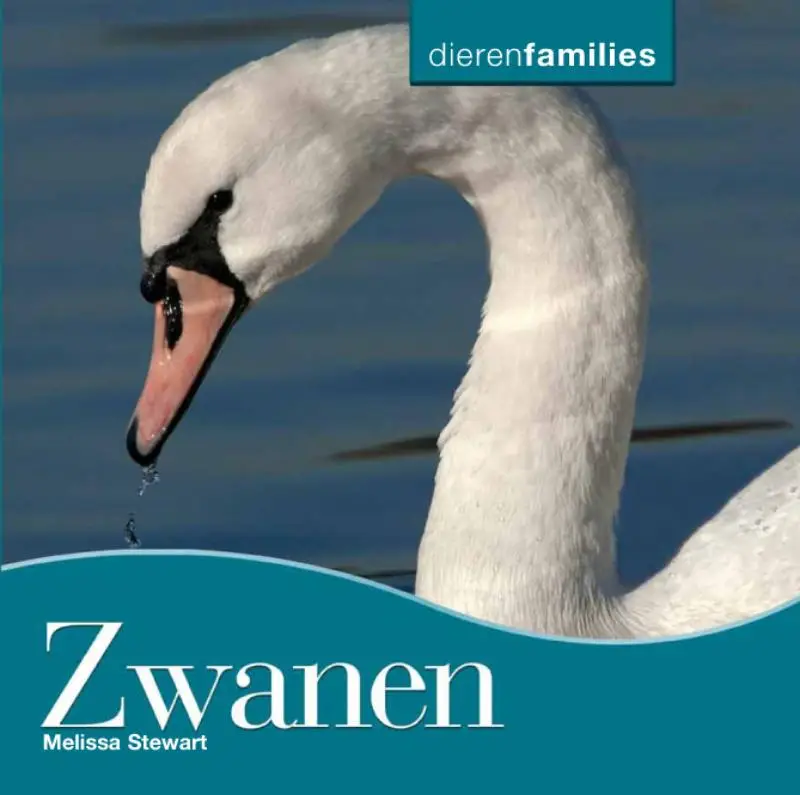 Dierenfamilies (10-16 jaa