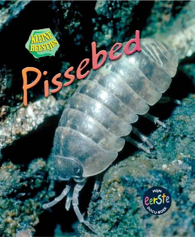 Mijn eerste docuboek - Pi