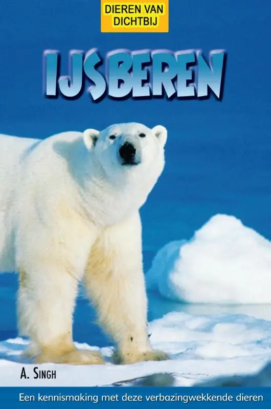 IJsberen