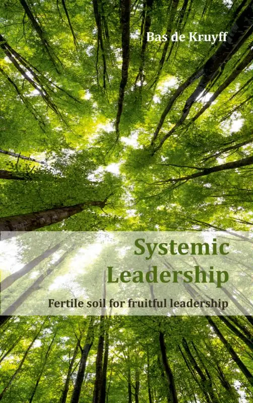 Systemic Leadership