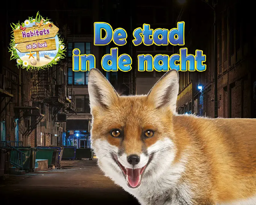 De stad in de nacht