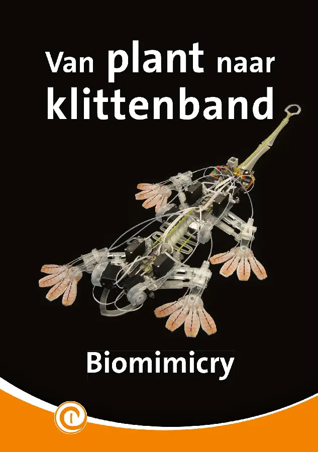 Van plant naar klittenband