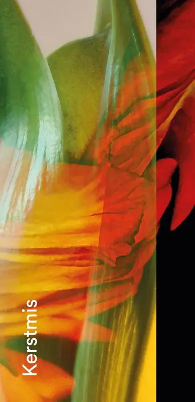 Gebedskaart Kerstmis 2026 PAKKET 25 ex