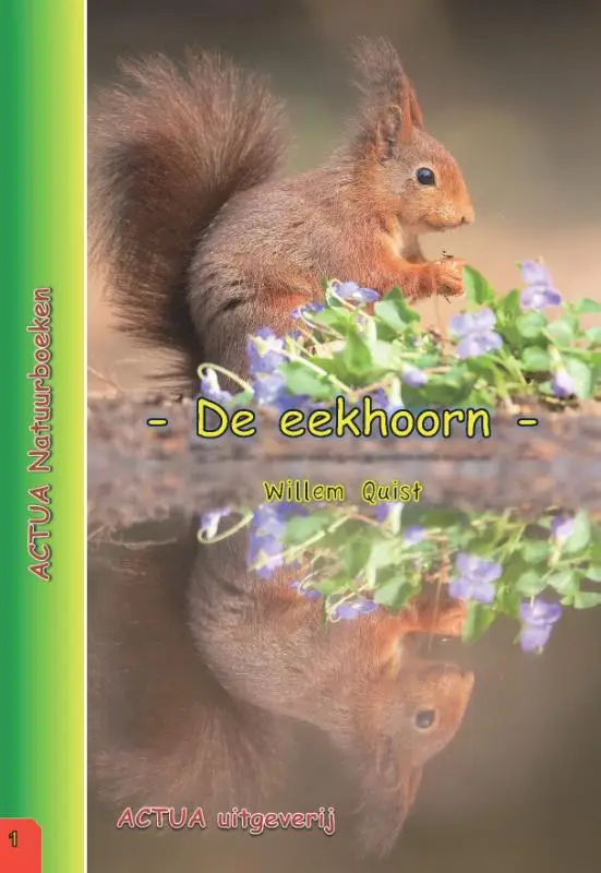 De eekhoorn