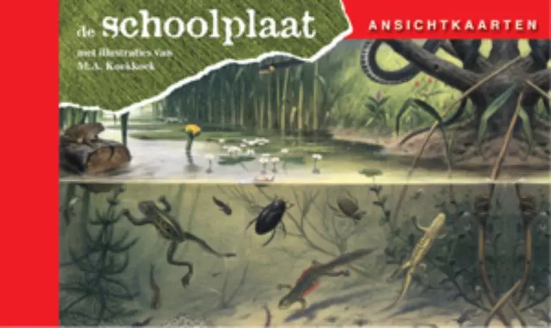 Ansichtkaarten, de Schoolplaat / In Ons Land