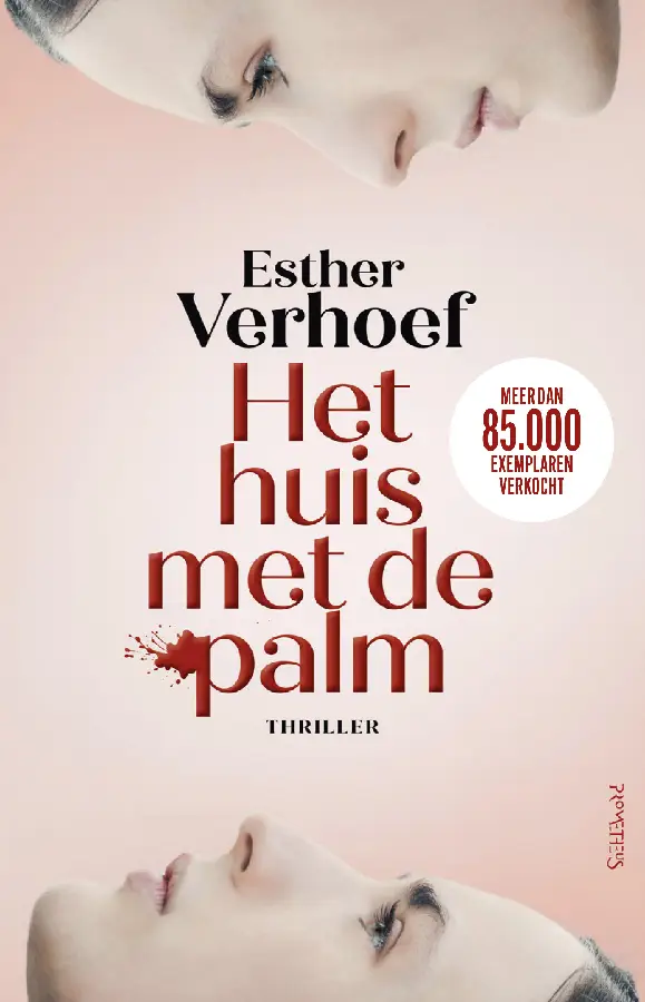 Het huis met de palm