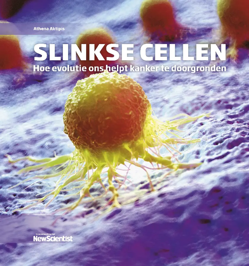 Slinkse cellen