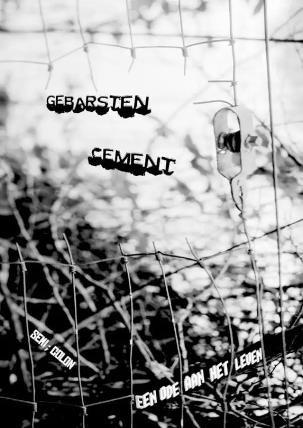 Gebarsten Cement