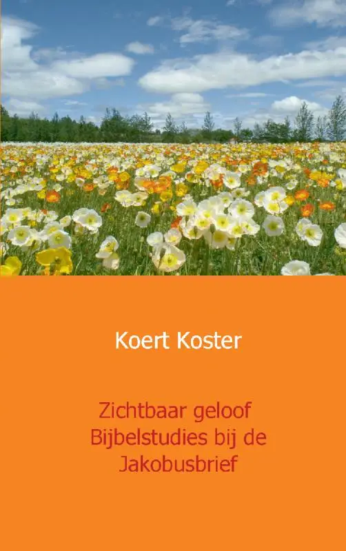 Zichtbaar geloof Bijbelstudies bij de Ja