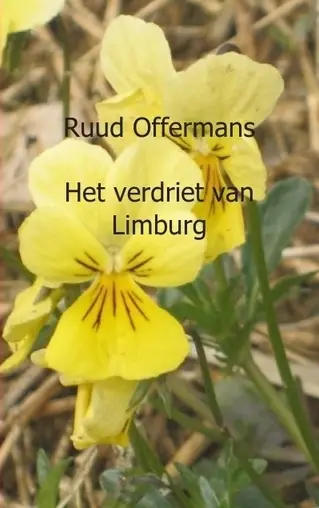 Het verdriet van Limburg