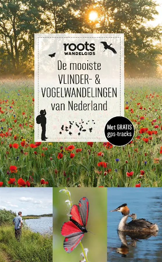 De mooiste vlinder- & vogelwandelingen van Nederland