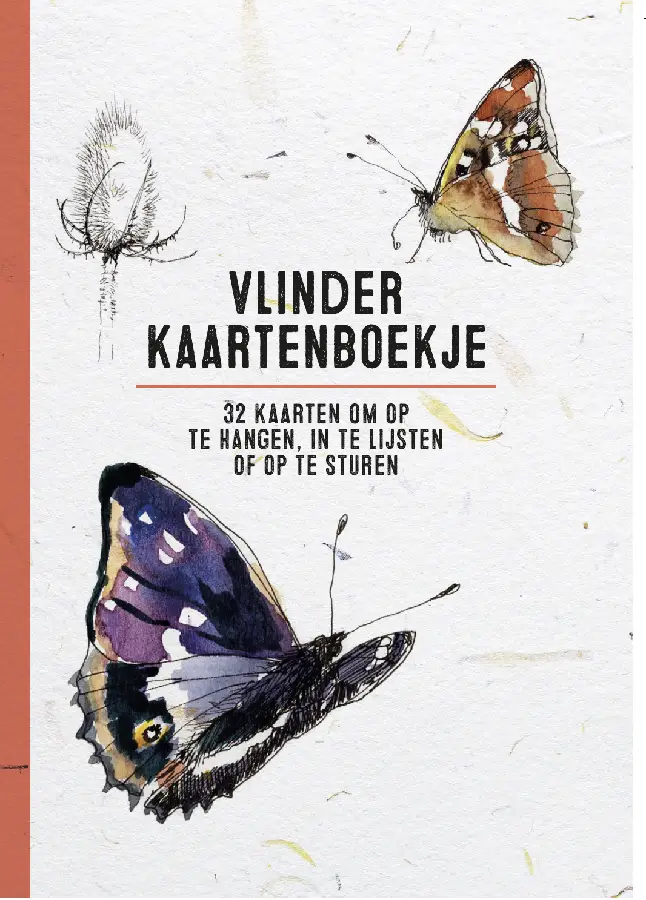 Vlinder kaartenboekje