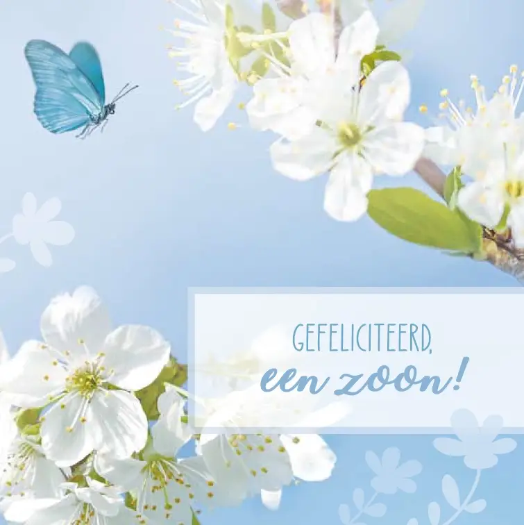 Geboorte Zoon