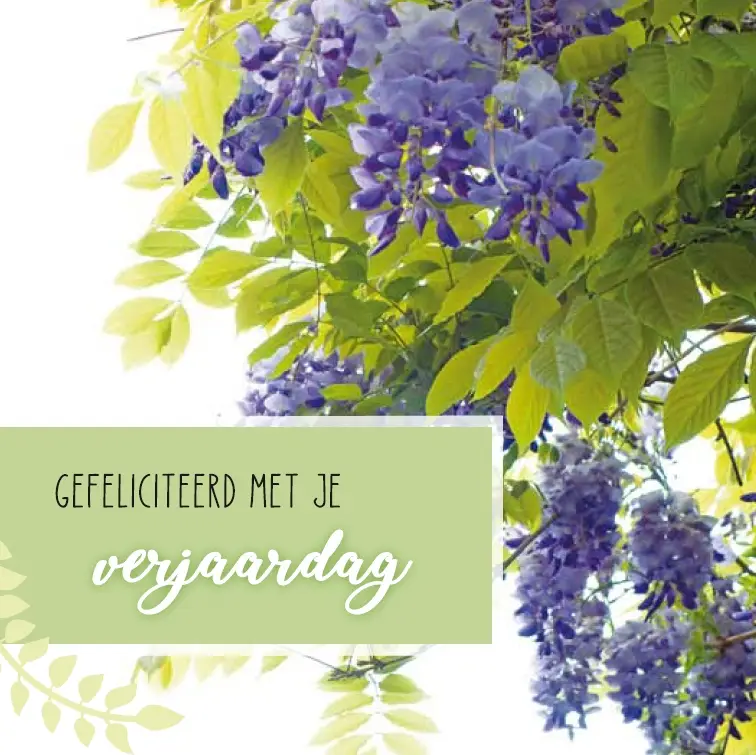 Gefeliciteerd