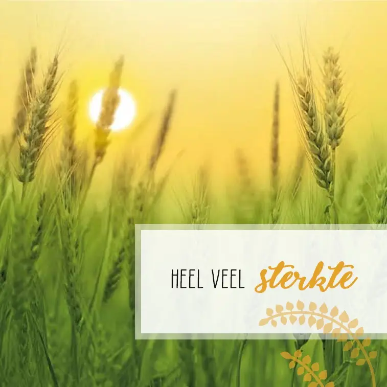 Sterkte