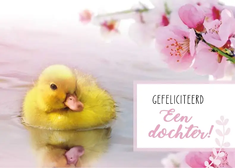 Geboorte Dochter