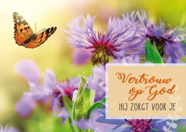 Vertrouw op God