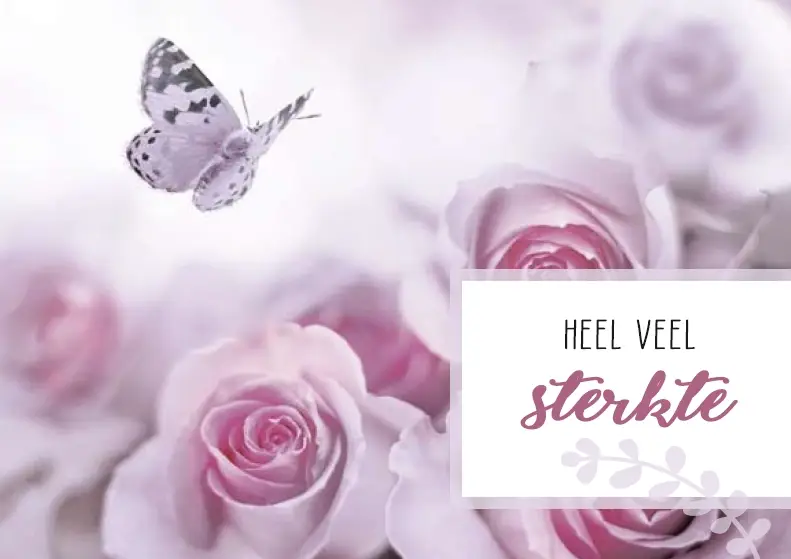 Sterkte