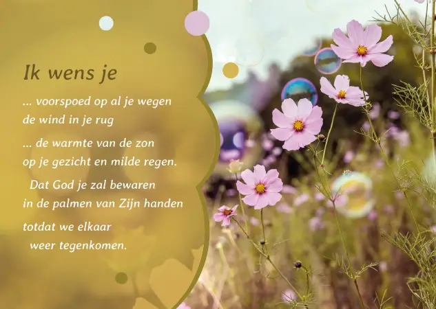 Ik wens je