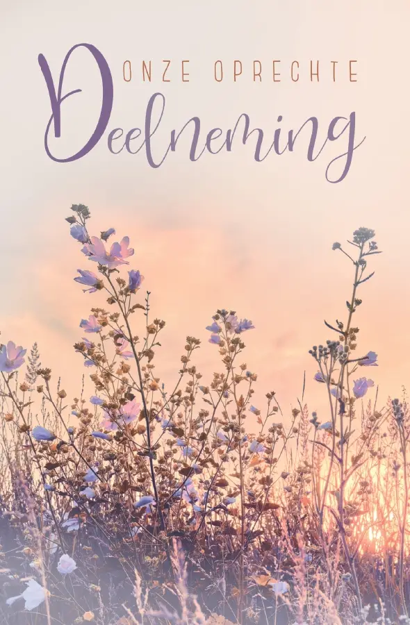 Deelneming