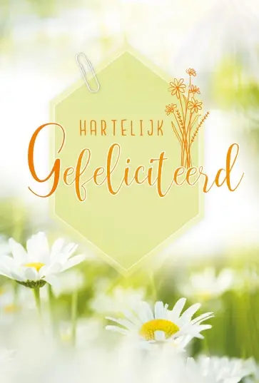 Gefeliciteerd