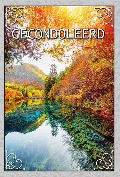 Deelneming
