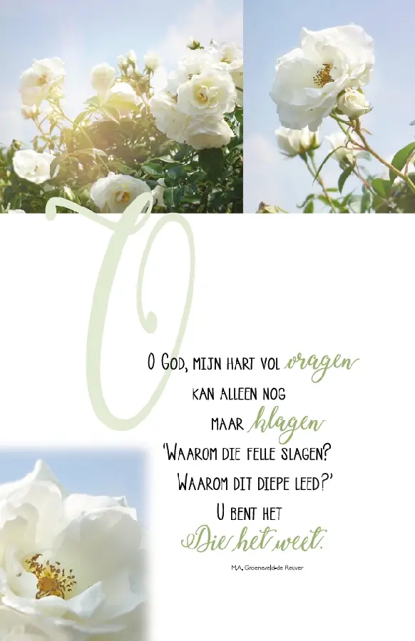 Bemoediging/Deelneming