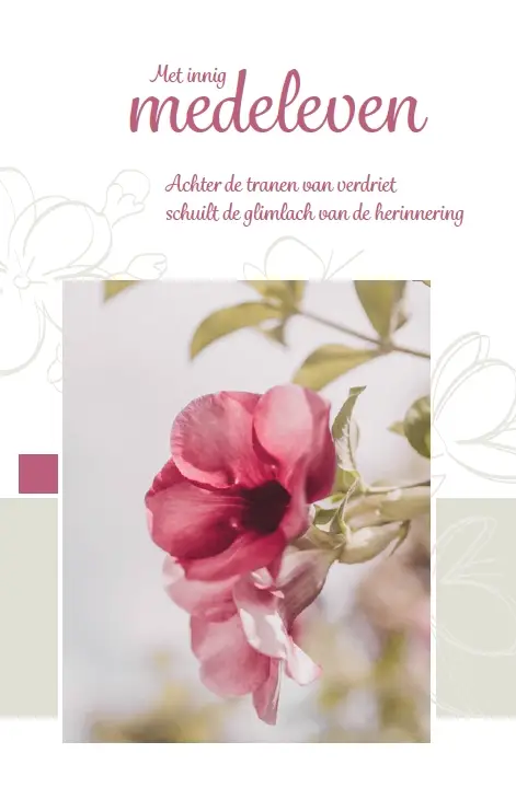 Deelneming