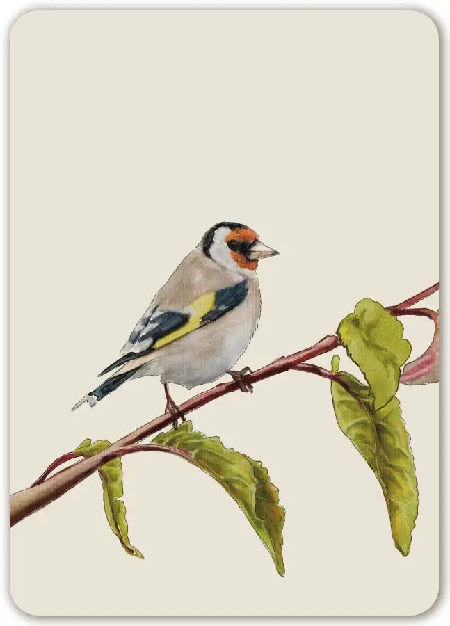 De wijsheid die God geeft is...