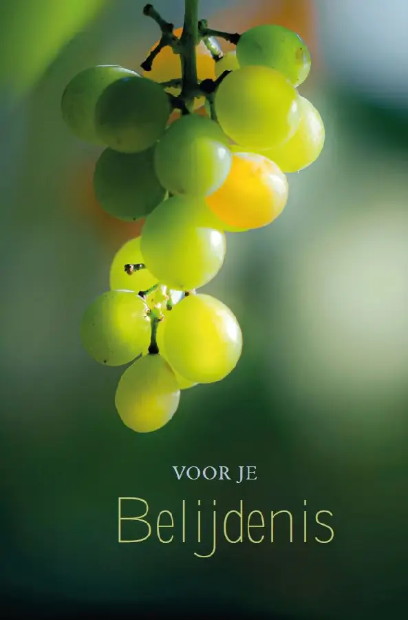 Wenskaart Voor je Belijdenis