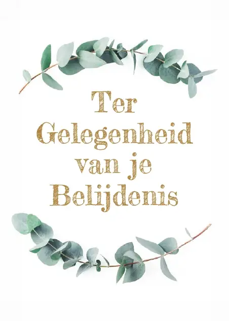 Prentbriefkaart T.Gelegenheid Belijdenis