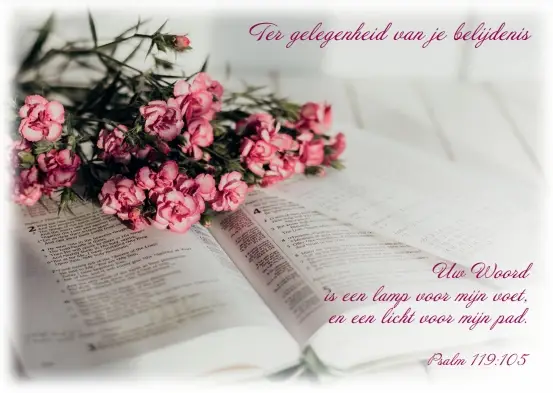 Prentbriefkaart T.Gelegenheid Belijdenis