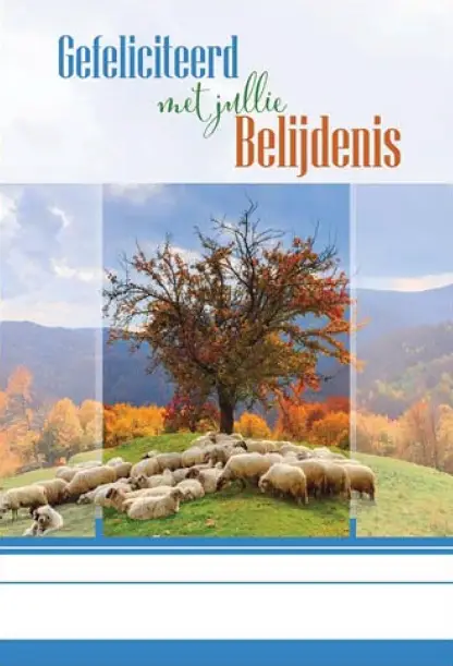 Belijdenis WK Gef. jullie Belijdenis