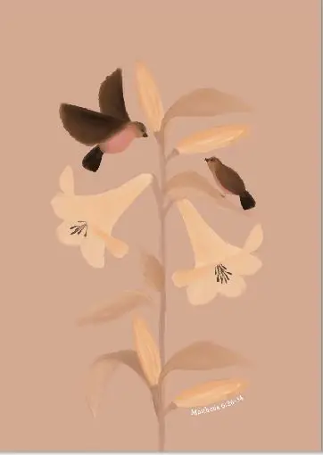 Belijdenis PBK Voor je Belijdenis