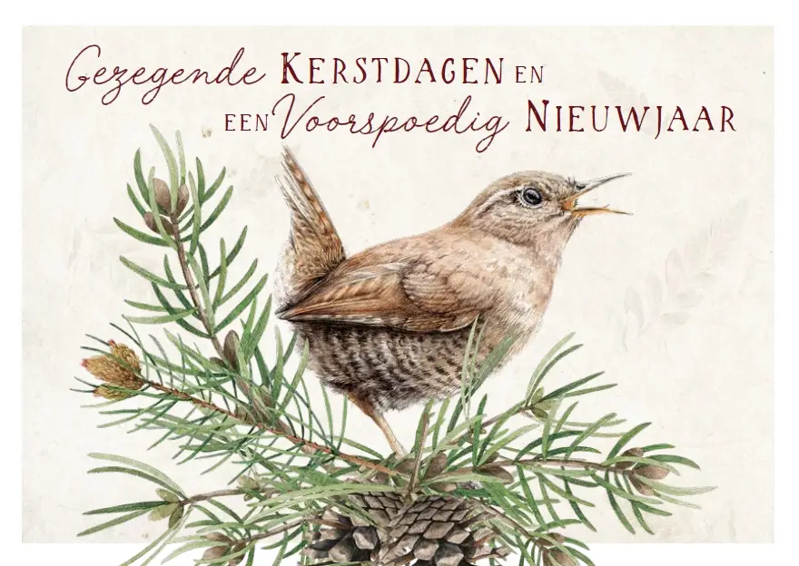 Map 5 Prentbriefkaarten Gezegende K/N