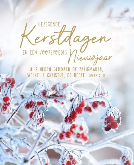 Hangdoosje Voorspoedig Nieuwjaar