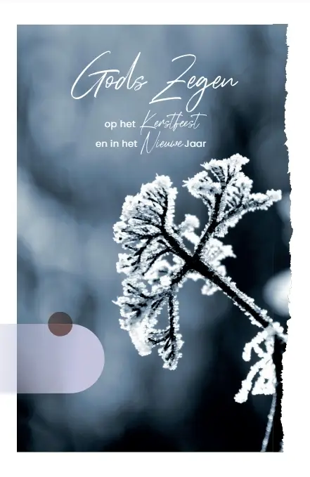 Wenskaart Gods Zegen Kerst/Nieuwjaar