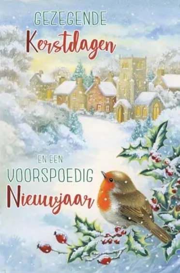 Assortiment kerstboxen JBS 12x2