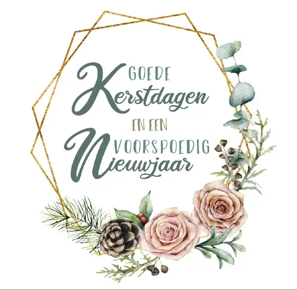 Kerstbox Goede K/N