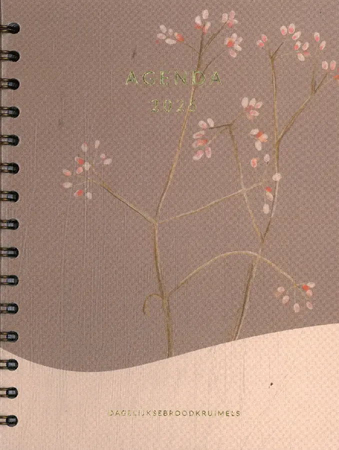 Agenda / 2025