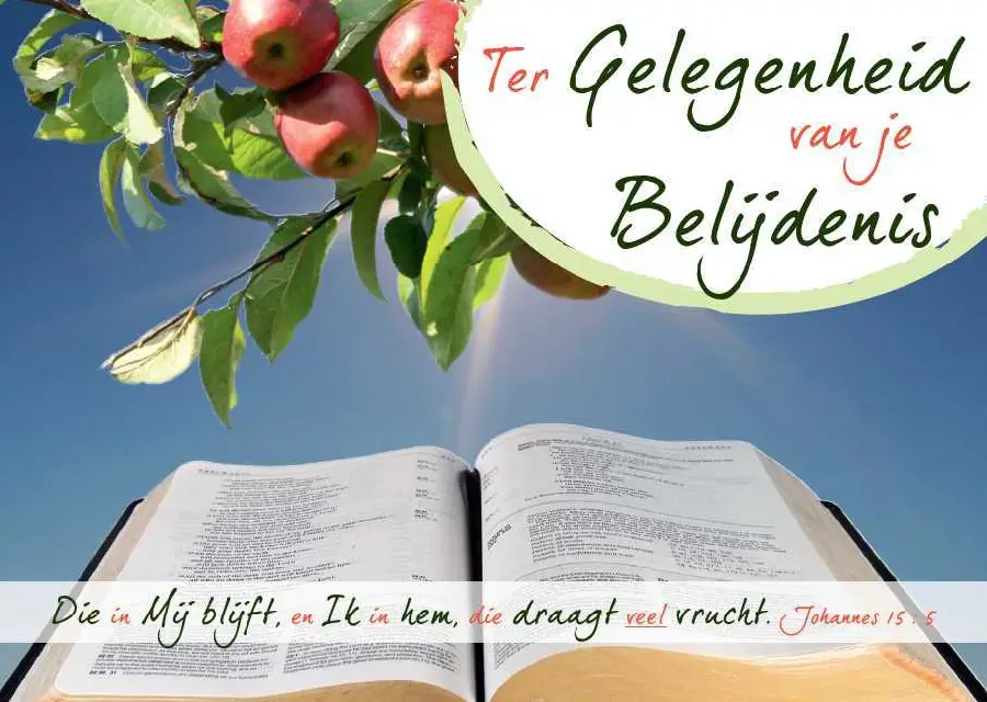 Prentbriefkaart johannes 15:5 sv