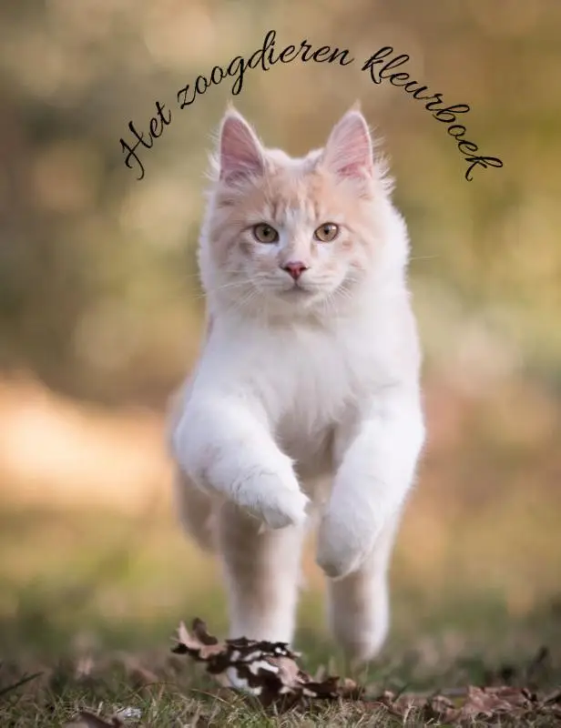 Kleurboek zoogdieren