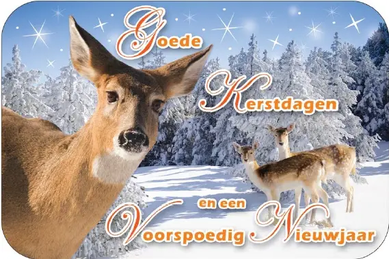 Map 4 pbk 3d goede k/n