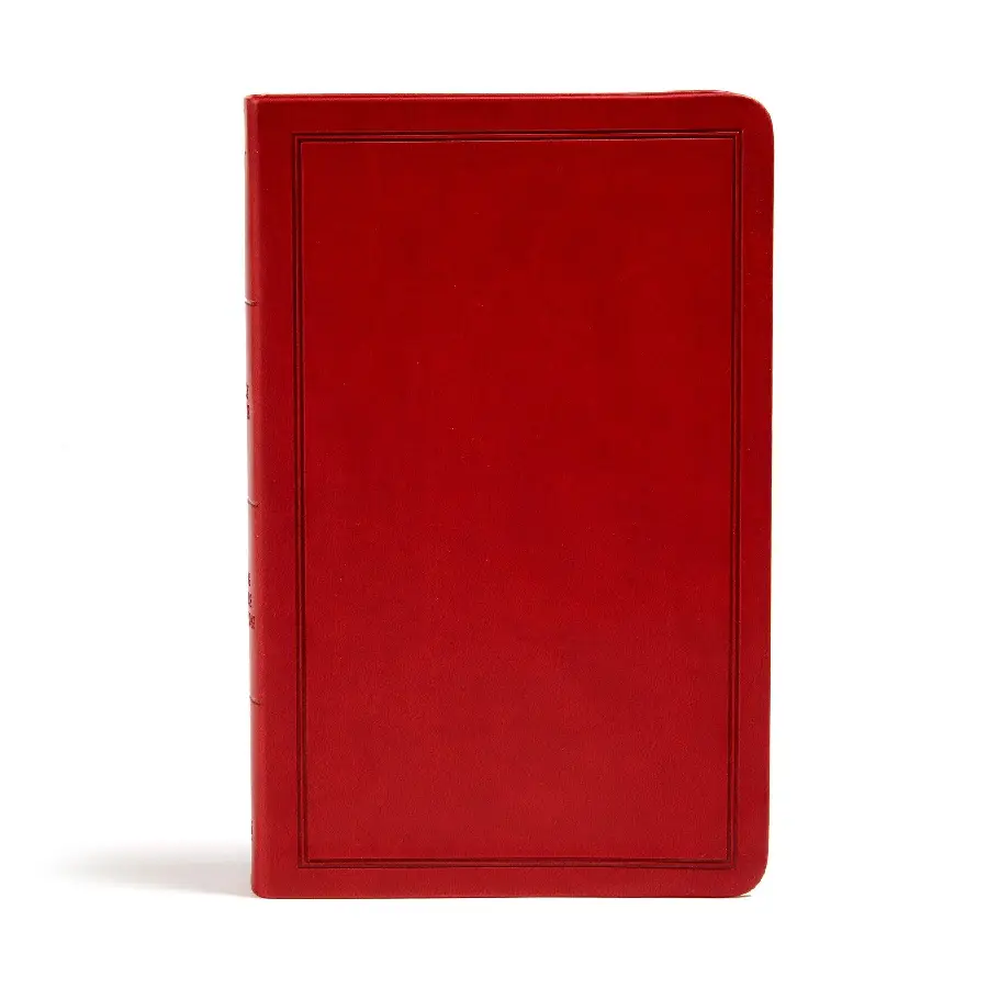 KJV - Deluxe Gift Bible