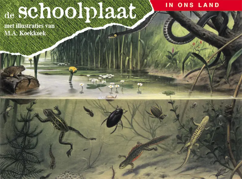 De schoolplaat / In ons land